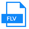 FLV File Format