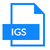 IGS File Format