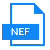NEF File Format