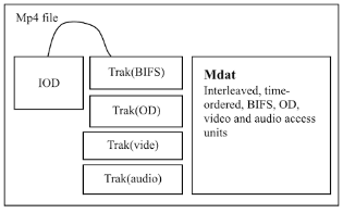 MP4 Format