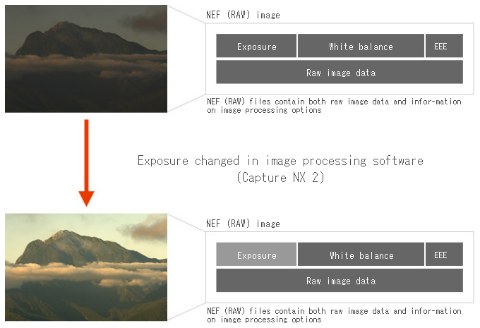 open NEF file